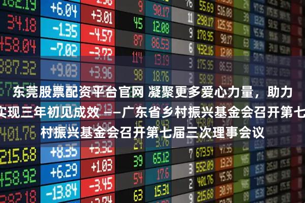 东莞股票配资平台官网 凝聚更多爱心力量，助力“百千万工程”实现三年初见成效 ——广东省乡村振兴基金会召开第七届三次理事会议