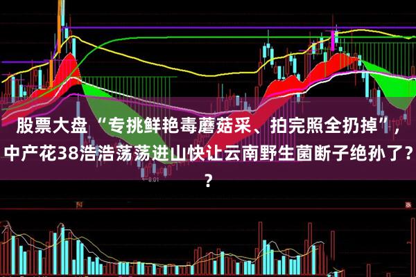 股票大盘 “专挑鲜艳毒蘑菇采、拍完照全扔掉”，中产花38浩浩荡荡进山快让云南野生菌断子绝孙了？