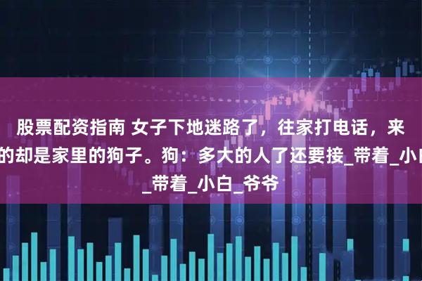 股票配资指南 女子下地迷路了，往家打电话，来接女子的却是家里的狗子。狗：多大的人了还要接_带着_小白_爷爷