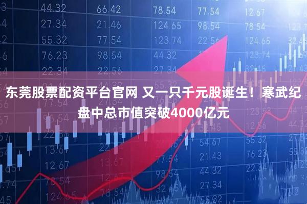 东莞股票配资平台官网 又一只千元股诞生！寒武纪盘中总市值突破4000亿元